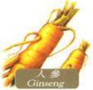 Sell  Ginseng Extract